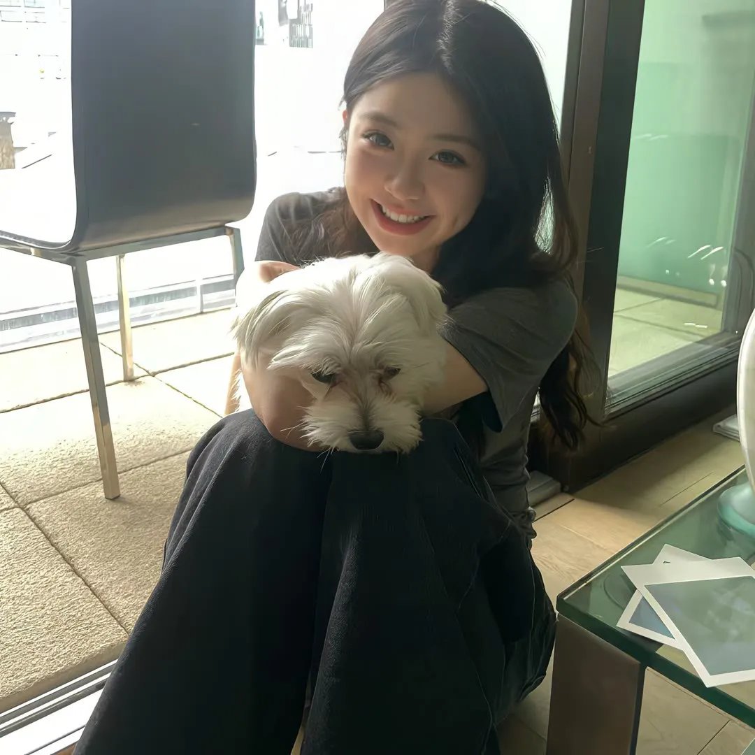 第19排 在线观看