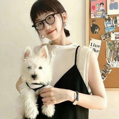 梦醒美国 在线观看